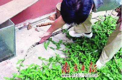 基坑事故 質量安全管理