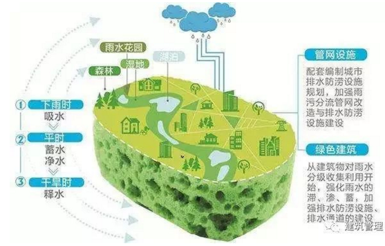 海綿城市
