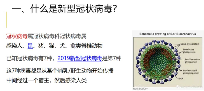 新型冠狀病毒