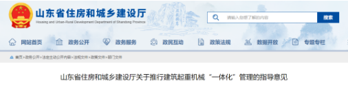 實施項目