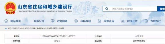 信息化項目管理