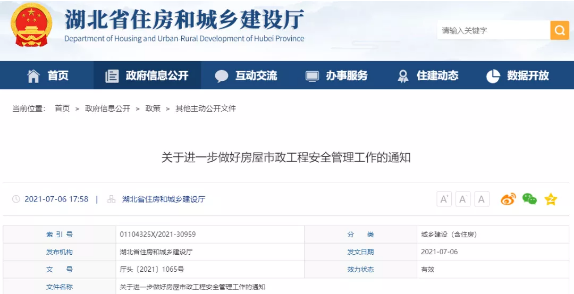 政府投資項目