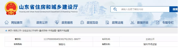 政府投資項目